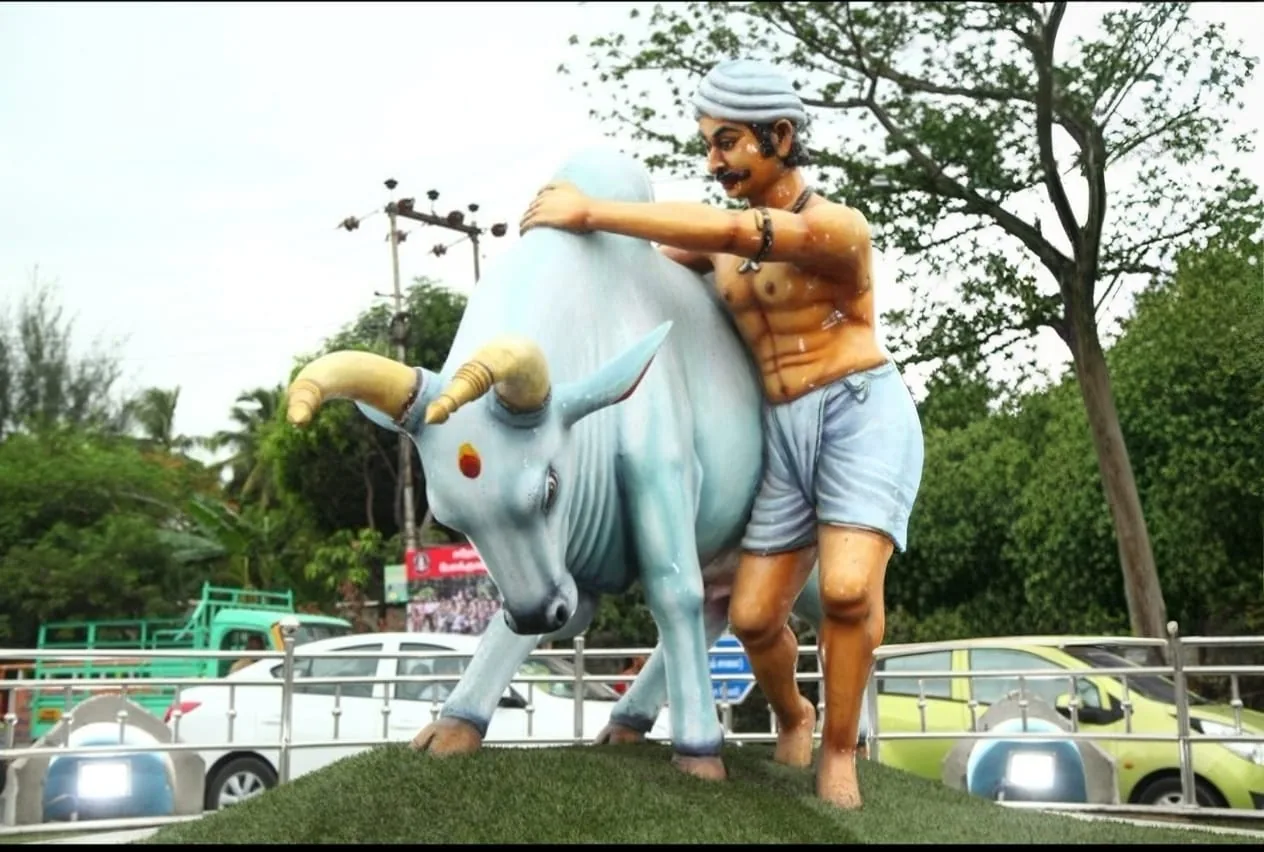 A man with a decorated white bull outdoors against lush greenery